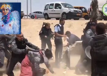 İşğalçı İsrail qadınlara qarşı zorakılıq və cinayət üzrə birinci yerdədir!