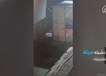 İsrail polis itlərinin fələstinlilərə növbəti hücumu – Video