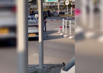 “Birəs-Səbə” əməliyyatı “müqavimət” variantı üzərində fələstinlilərin birliyinə işarədir