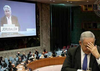 İşğalçı İsrail BMT-ni saya salmır! (Video)