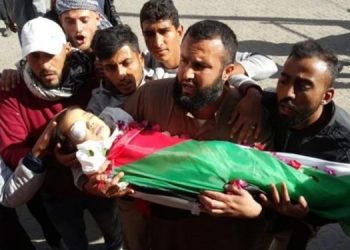 Kənani: Uşaq qatili olan İsrail rejimi bomba və raket tipli hədiyyələrlə Qəzzədəki fələstinli uşaqların sorağına gedib