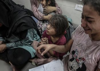 Qəzzə şəhidlərinin sayı 6546 nəfərə yüksəlib