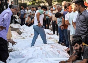 Tərk olunmuş cəsədlər və qıtlığa düçar olmuş insanlar-BMT-nin Qəzzənin vəziyyəti barəsindəki təsviri