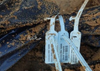 Qəzzənin şimalında əli və gözü bağlı 30 fələstinli şəhidin cəsədinin tapılması