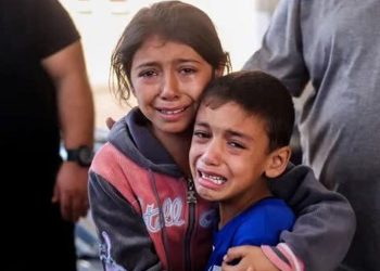 Qəzzə şəhidlərinin sayı 36379 nəfərə çatıb