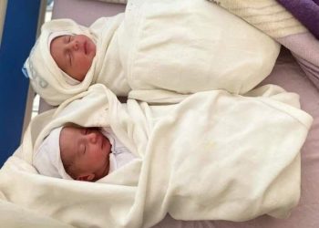 Qəzzədə 800 südəmər körpə şəhid olub