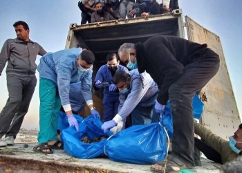 Qəzzədə 26 nəfər şəhid olub/Şəhidlərin ümumi sayı: 51266 nəfər