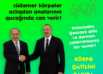 Südəmər körpələrin qatilini Bakıda istəmirik!