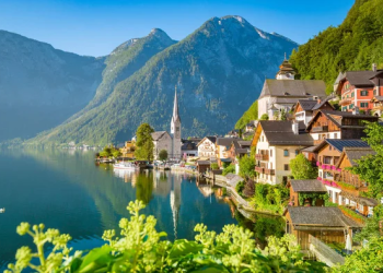 Fəallar Avstriya Yayım Korporasiyasının (ORF) ofisinə basqın edərək Qəzzadakı soyqırımı cinayətlərini işıqlandırmamasına etiraz etdilər