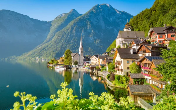 Fəallar Avstriya Yayım Korporasiyasının (ORF) ofisinə basqın edərək Qəzzadakı soyqırımı cinayətlərini işıqlandırmamasına etiraz etdilər