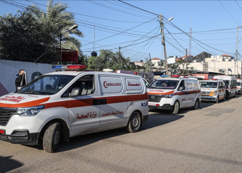 Qəzza Səhiyyə Nazirliyi: