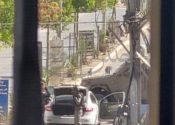 İşğalçıların Cenin şəhəri və düşərgəsində soyqırımı 157-ci günündə davam edir: sistematik dağıntı və qətllər