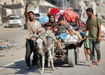 İsrail ordusunun Qəzzədə uzunqulaq oğurluğu