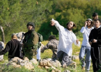 Nəblusda yeni məskunlaşma nöqtələri, Ərihədə isə zorakı hücumlar – işğalçı siyasətin genişlənməsi