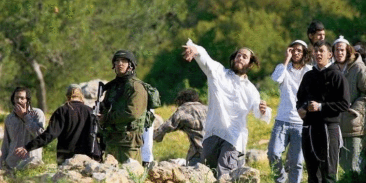 Nəblusda yeni məskunlaşma nöqtələri, Ərihədə isə zorakı hücumlar – işğalçı siyasətin genişlənməsi