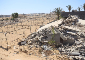 İsrail müharibəsi Qəzza zolağında kənd təsərrüfatını məhv edir