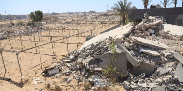 İsrail müharibəsi Qəzza zolağında kənd təsərrüfatını məhv edir