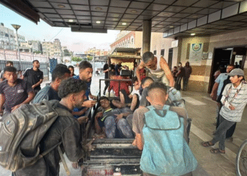 Xan Yunisdə aclıqdan əziyyət çəkənlərə qarşı qətliam və Qəzza zolağına intensiv İsrail hava hücumları