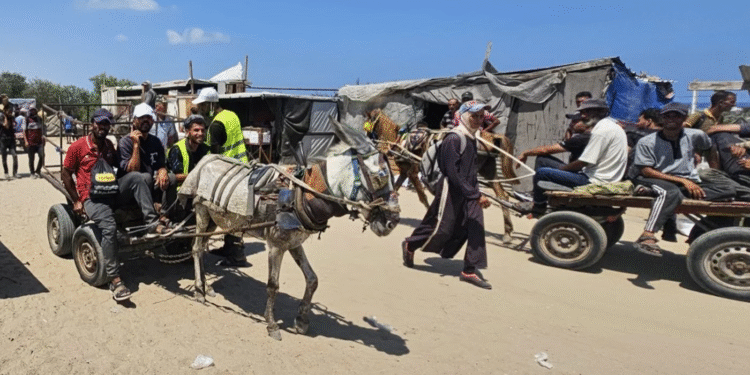 Qəzzada yardım yük maşınının yaxınlığında İsrailin atəşi nəticəsində azı 67 nəfər öldürülüb