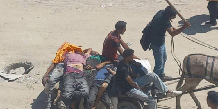 Ümumdünya Ərzaq Proqramı: İşğalçı qüvvələr Qəzzada yardım alan fələstinlilərə atəş açıblar