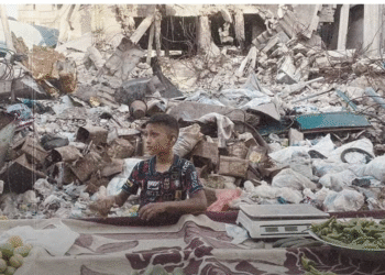 Əncir və üzüm… Gözlər baxır, əllər çatmır