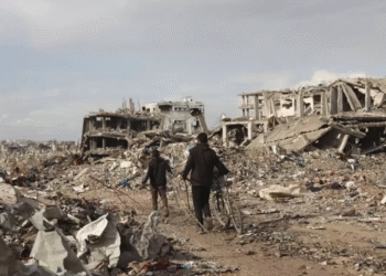 Qəzza sektorunda məhəllələri dağıdan muzdlu qüvvələr: Tövrat ideologiyası və maddi maraq