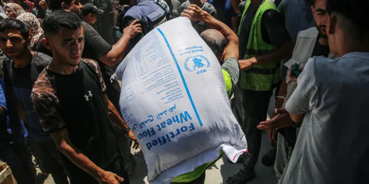 Qəzzada “qarşısıalınmaz fəlakət” xəbərdarlığı – Albanese İsrailin cəzalandırılmasını tələb edir