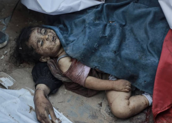 BMT-nin xüsusi məruzəçisi: İşğalçı rejim müasir tarixdə ən qəddar soyqırımlardan birinə cavabdehdir