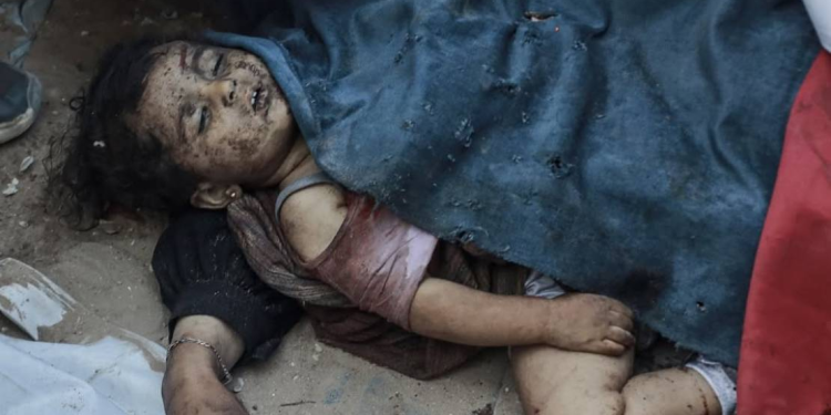 BMT-nin xüsusi məruzəçisi: İşğalçı rejim müasir tarixdə ən qəddar soyqırımlardan birinə cavabdehdir