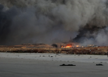 İsrail Suveyda vilayətində Suriya tanklarını bombalayıb – druzilər beynəlxalq müdafiə tələb edir